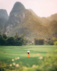 back view of a person standing on a vast green grass field